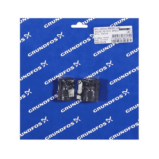 Grundfos KIT, valve DME 60-150 PP/E/C spring